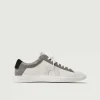 Low 1 | Stingray (Orthopedic)