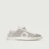 Low 1 | Yolo