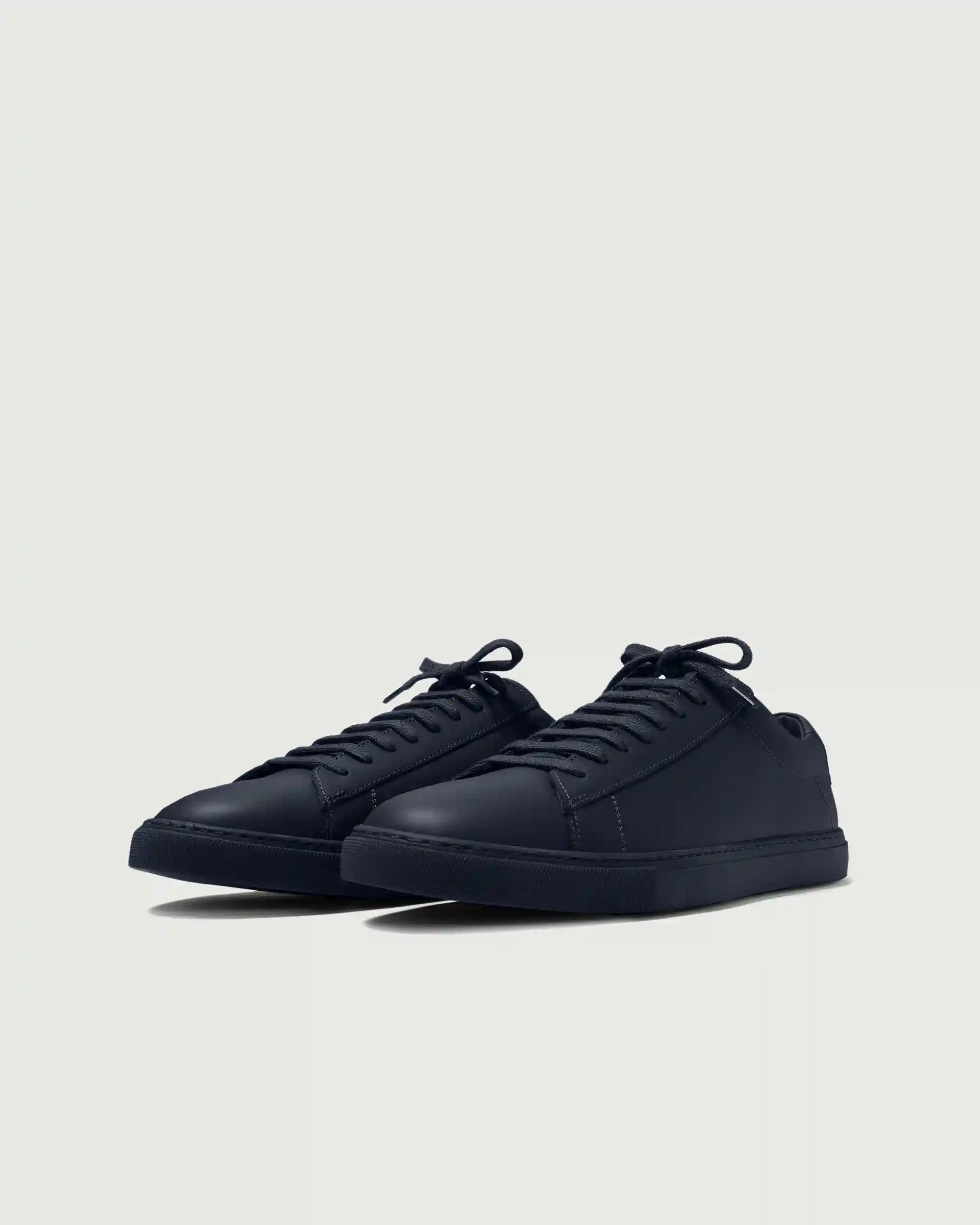 Alternative view of Low 1 | Navy